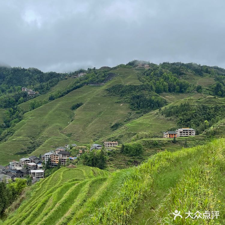 龙脊梯田