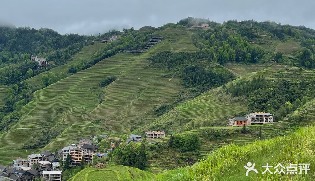 龙脊梯田
