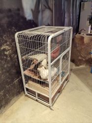 -酷嗒动物文化乐园(cutezoo西溪乐天城店)