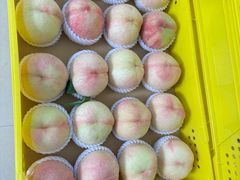 -老袁家蜜桃农场·阳山水蜜桃