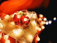 -Tims天好咖啡·贝果(东方广场店)