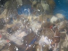 -四海蒸鲜蒸汽海鲜自助(北戴河店)