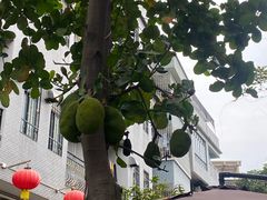 -黄埔古港