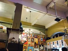 -猫咪博物馆(顶澳仔猫街店)