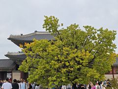 -景福宫