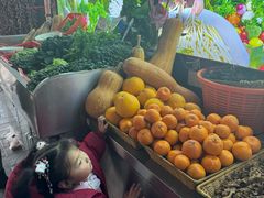 -雅和生态渔庄·宜城锅巴饭(龙灵山公园店)