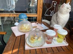 -喵屿·大理花园猫咖