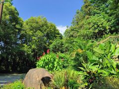 -深圳仙湖植物园