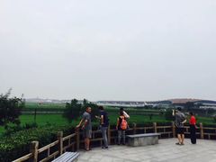 -东郊湿地公园