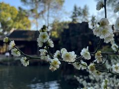 -北寺塔