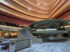 -新加坡文华东方酒店