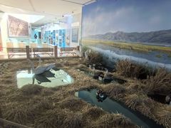 -延庆地质公园博物馆