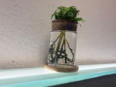 -红小满休闲餐厅(十全街店)