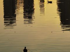 -前关湿地公园