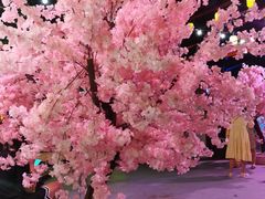 -广州长隆欢乐世界