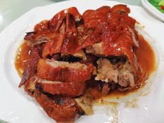 -姚林轩
