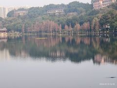 -重庆彩云湖湿地公园