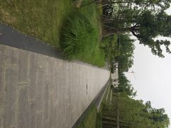 iphone_upload_pic-南翔镇银翔湖公园