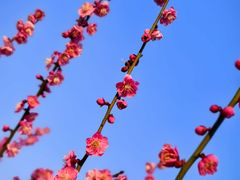 -南湖宾馆·鸳湖阁全日制餐厅