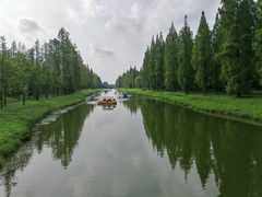 -黄海国家森林公园