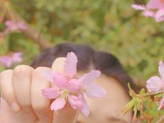 -南山植物园