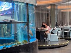 -王家渡火锅店(棕榈泉店)