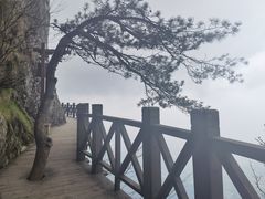 -萍乡武功山风景名胜区