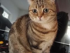 -沈阳道古物市场