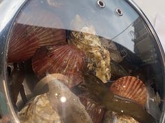 -大锅强·蒸海鲜青岛菜(金沙滩店)