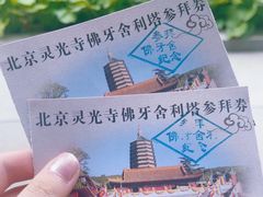 -八大处公园