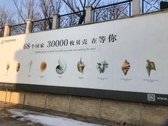 -青岛贝壳博物馆