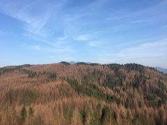 -山王坪喀斯特国家生态公园