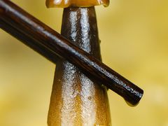 -鲜菌江湖正宗野生菌火锅