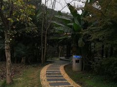 -东湖落雁景区