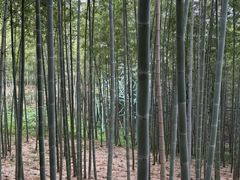 -陶祖圣境风景区