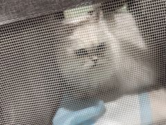 -佳雯宠物医院·皮肤科·内外科(春晓路分院)