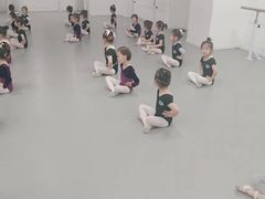 -西安小天鹅艺术团(金花路校区)