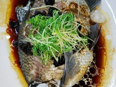 -顺德了能馆(虎门店)