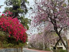 -广州市干部健康管理中心