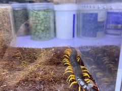 -三旗百汇商品城