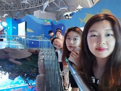 -烟台海昌鲸鲨海洋公园