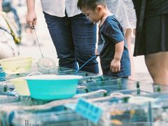 -清平路水族市场