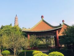 -顺峰山公园
