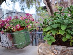 -至尚形象·化妆服饰搭配礼仪培训