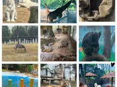 -常州淹城野生动物世界