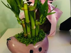 -海底捞火锅(龙湖三千集店)