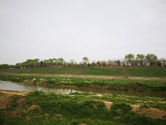 -洨河生态公园