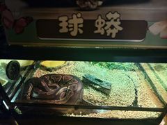 -常州淹城野生动物世界