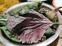 紫苏叶-食理八湘(中海城风情苑北区店)