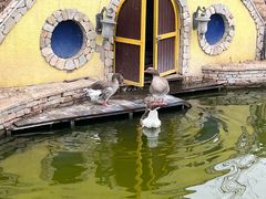 -南宫五洲植物乐园